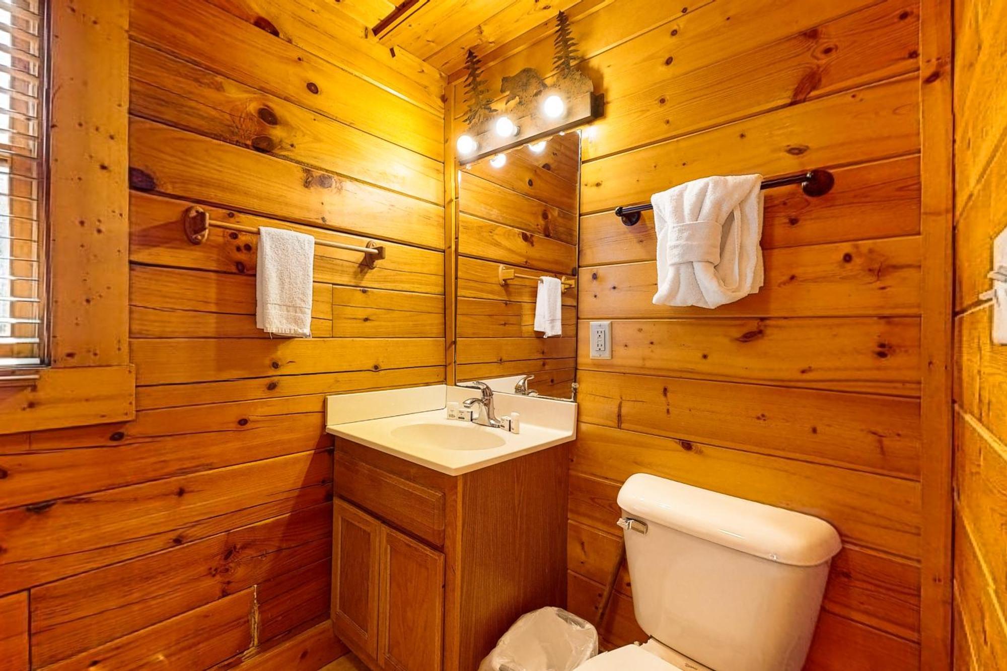 Pin Oak Cabin, Unit 241 ピジョンフォージ エクステリア 写真
